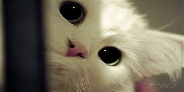 Катерина Гуленко | 