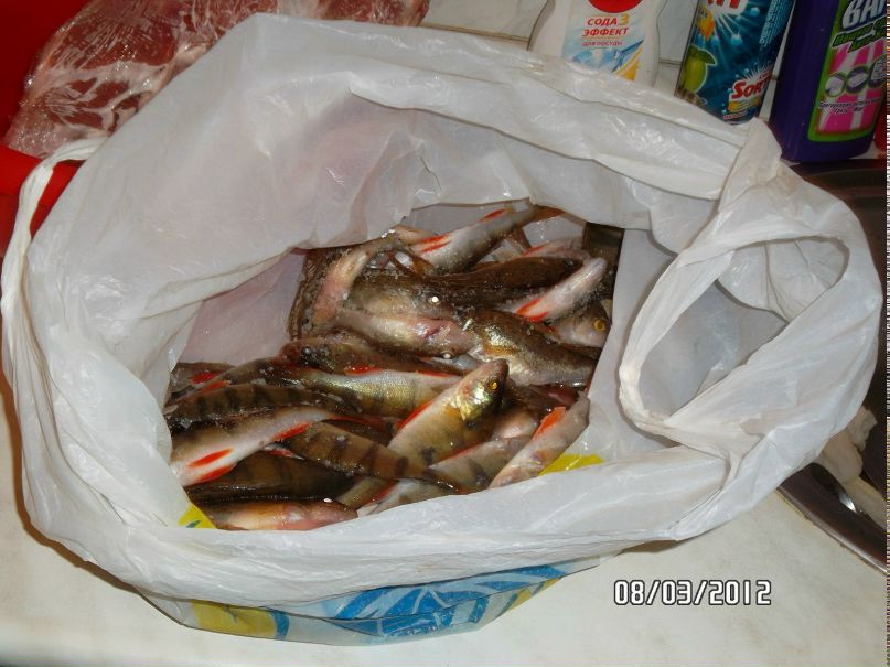 Олег Колпаков | Новодвинск