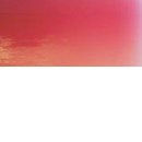 №134, Елена Щербакова, 37 лет, Харьков №134, Елена Щербакова, 37 лет, Харьков