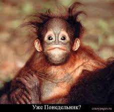 Олег Бурба | 