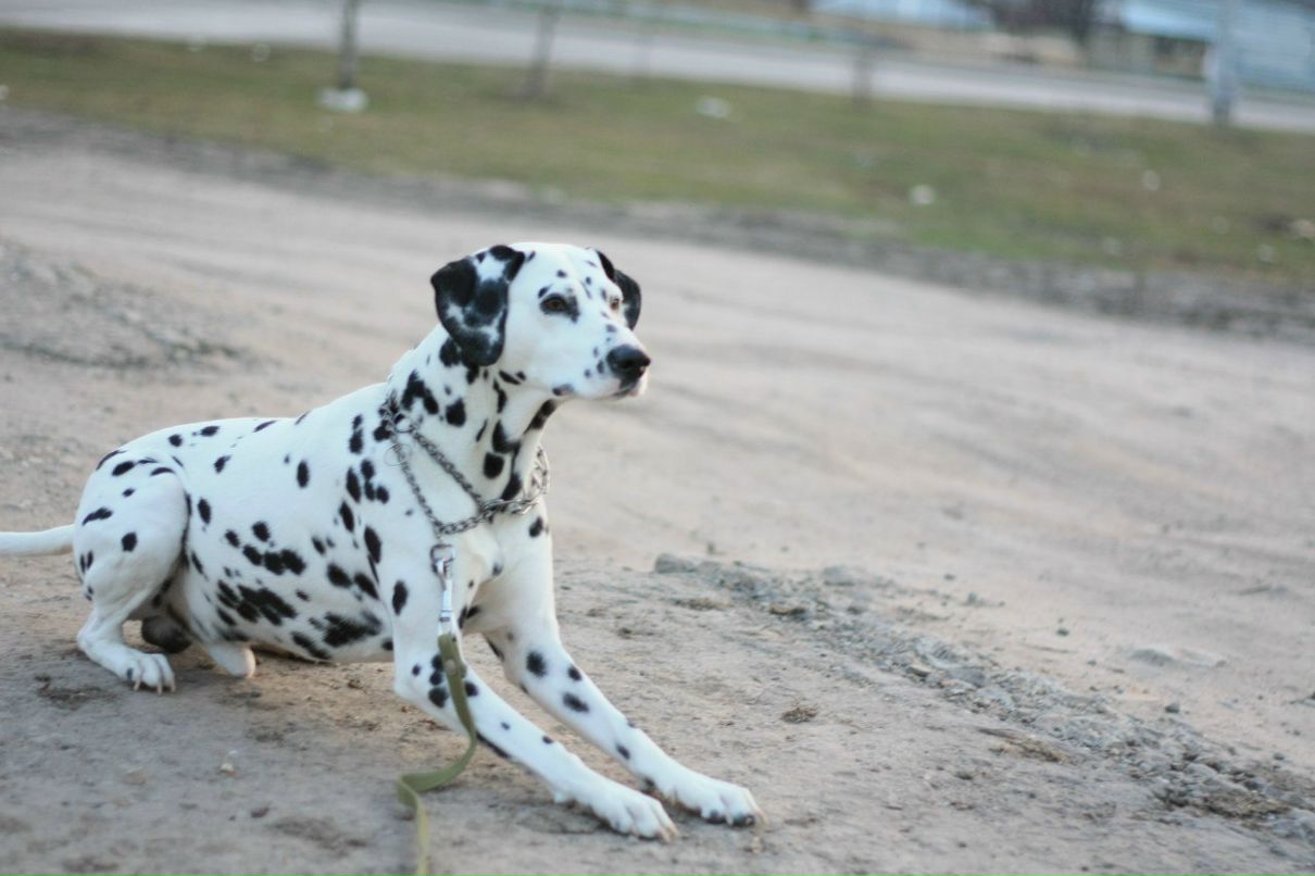Славик Аджигитов | Москва