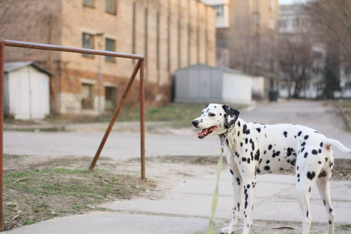 Славик Аджигитов | Москва