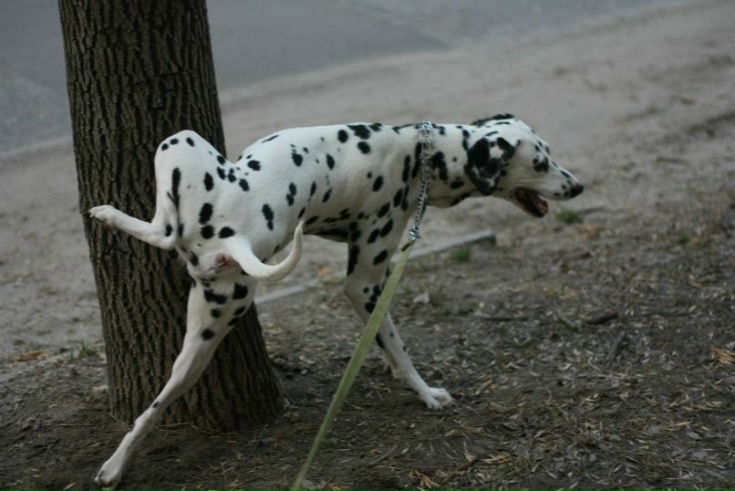Славик Аджигитов | Москва
