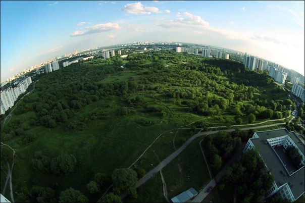 Женек Ковалёв | 