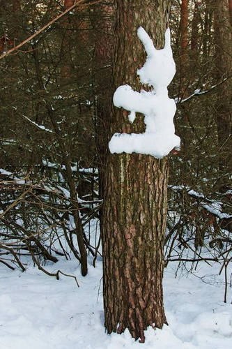 Юлия Йавсёскажу | Екатеринбург