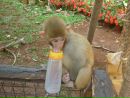 Фотография Костя Патыковский
