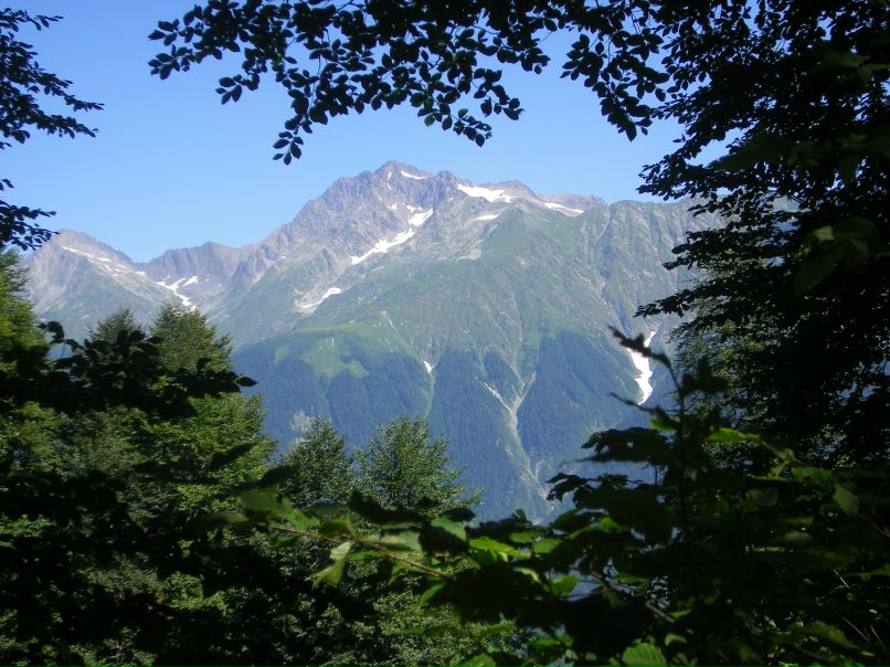 Bob Bobovich | New York City