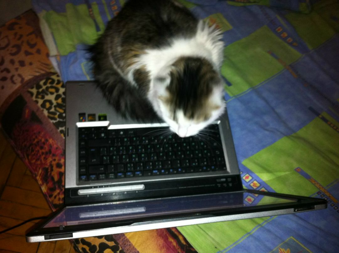 Валентина Коваленко | Киев