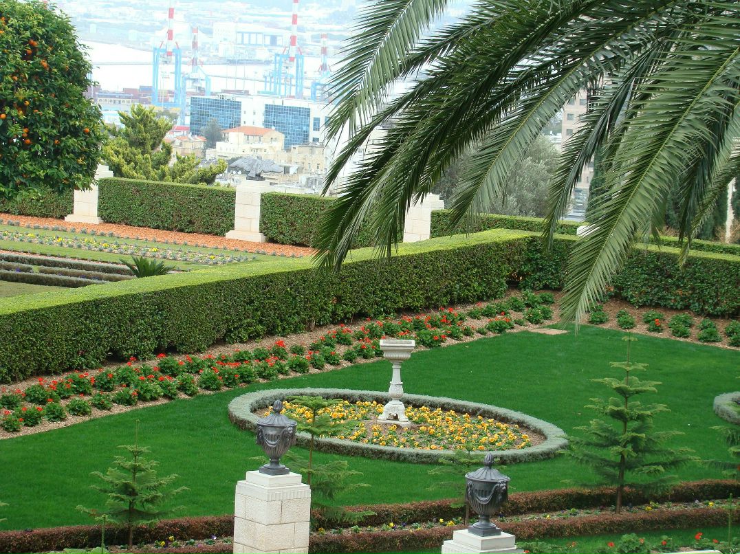 Илья Стрюков | Санкт-Петербург