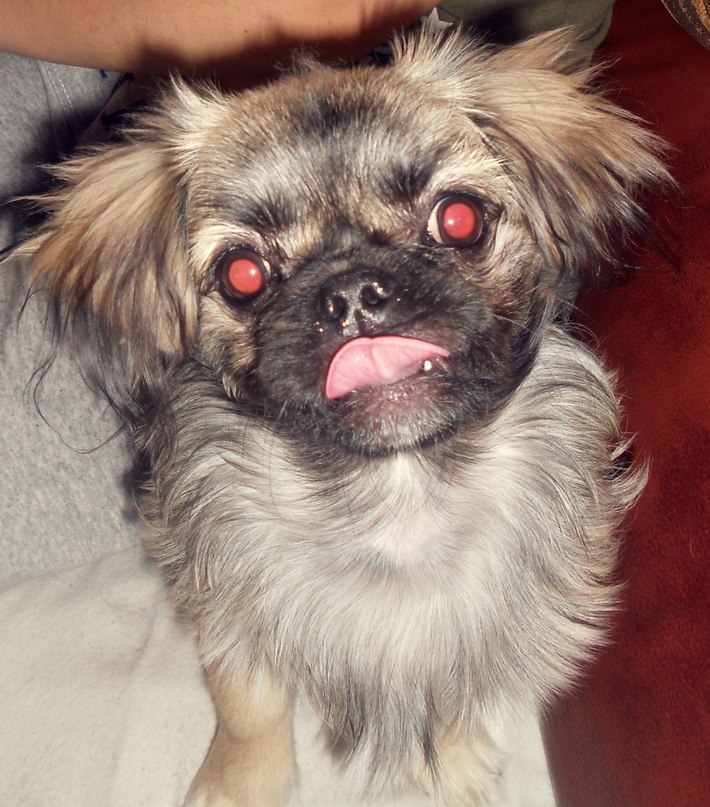 Владимир Викторович | Кяхта