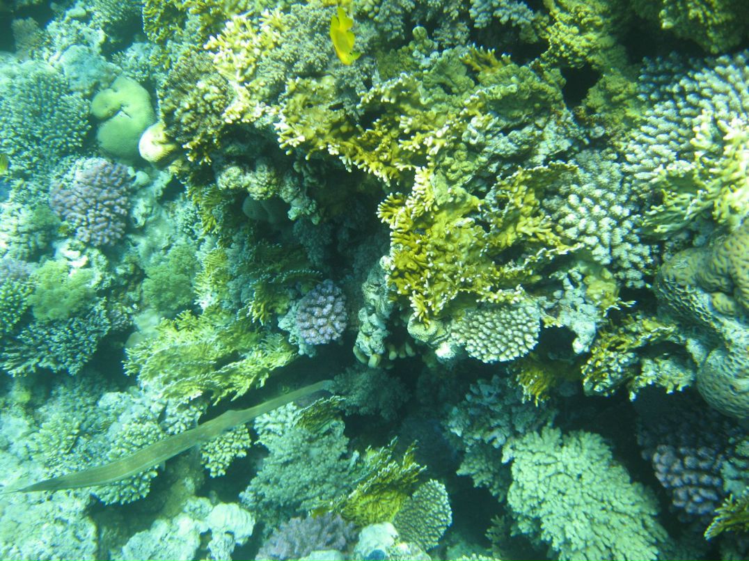 Надежда Кропачева | Киров