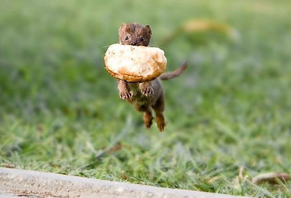 Фиюза Бикбаева | Омск