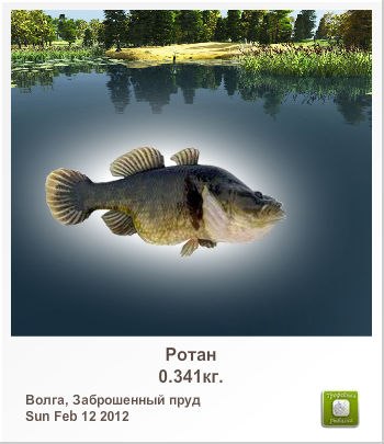 Андрей Степанов | Иркутский