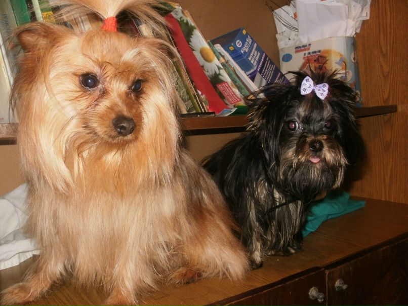 Татьяна Павленко | Полтава