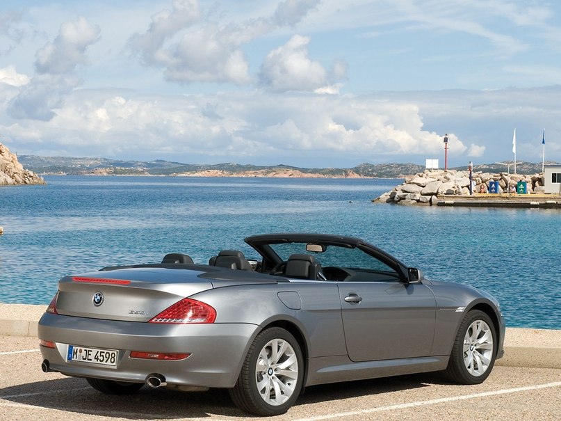 Светлана Бахаева | Вологда