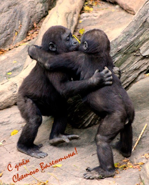 Анюта Токарь | Долинская