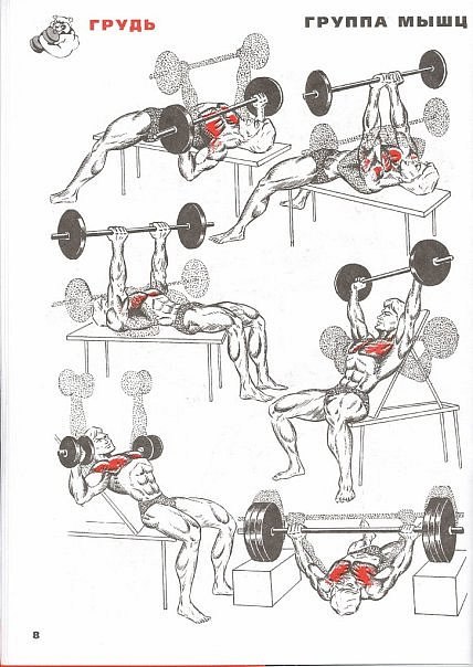 Иван Ургантович AnGrY^$eqr1T | Херсон