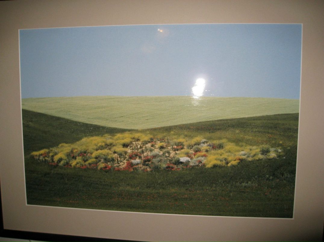 Алёна Кузнецова | Самара