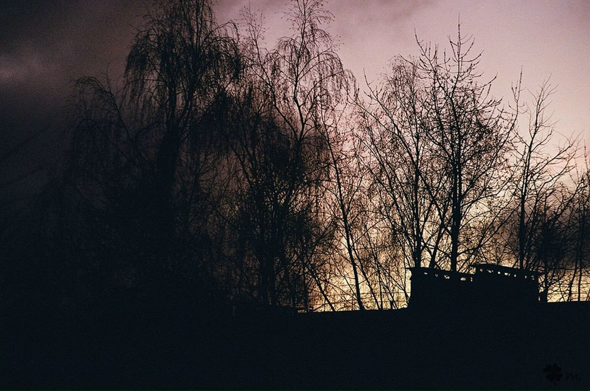 Алексей Осипов | Минск