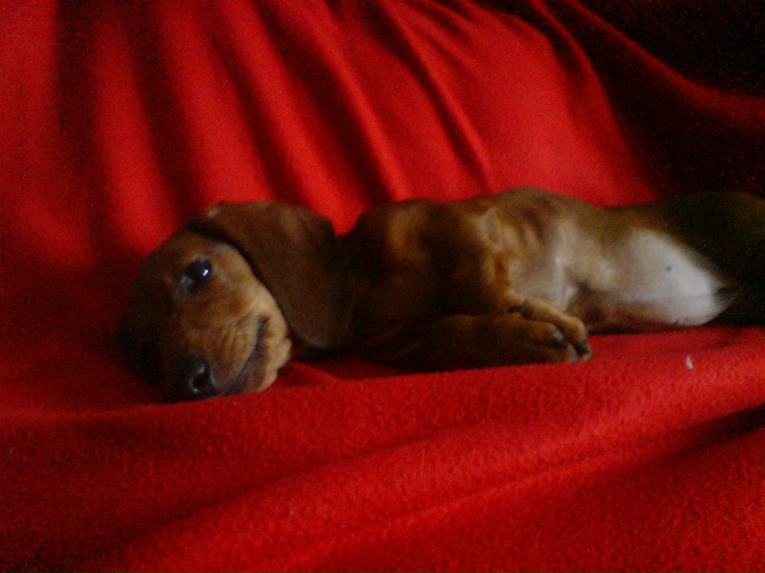 Кристина Аврорская | Новосибирск