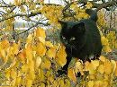 Фотография Анна Солодовникова