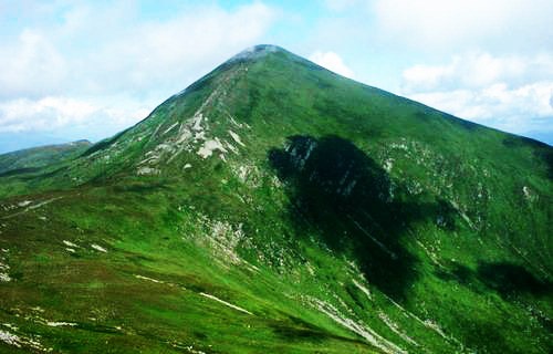 №5, Вадим Сибиковский №5, Вадим Сибиковский