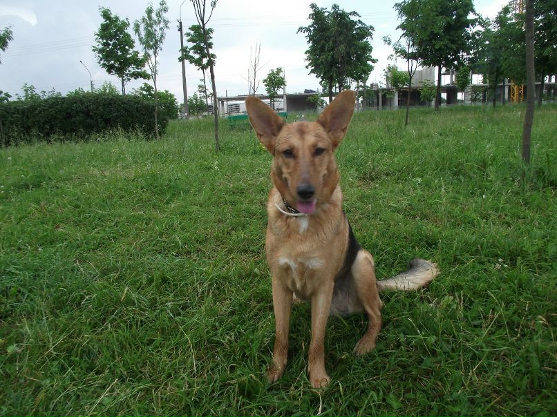 Дина Малашко | Минск