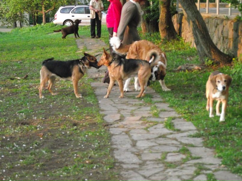 Дина Малашко | Минск