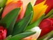 Оксана Храбатин | Ивано-Франковск