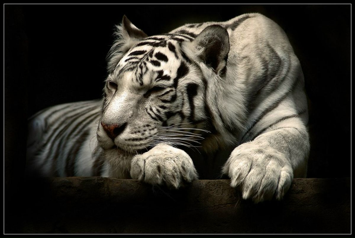 Виктор Жуковский }l{yk | Минск