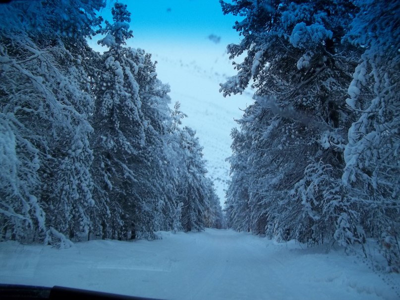Владимир Шибанов Юрьевич | Белоярский