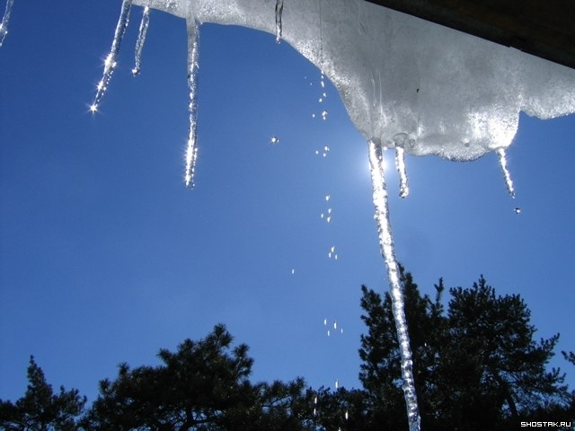 Ирина Репина | Великий Новгород