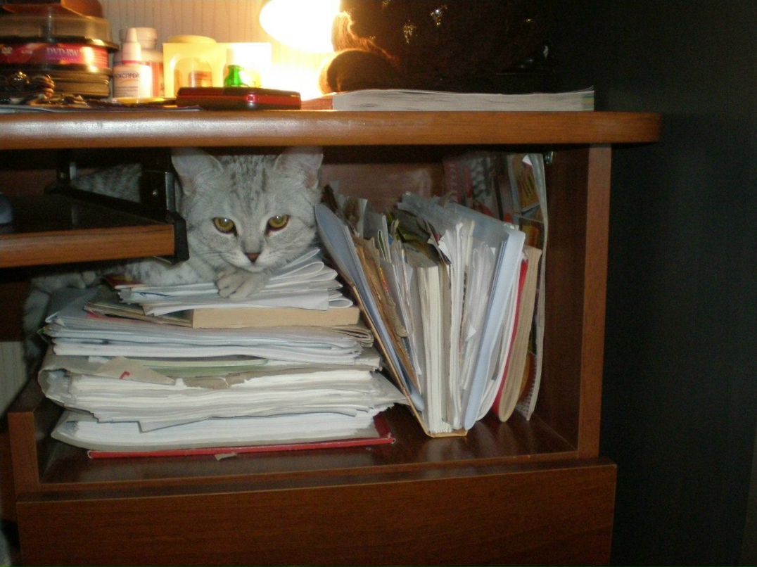 Татьяна Подколзина | Новосибирск