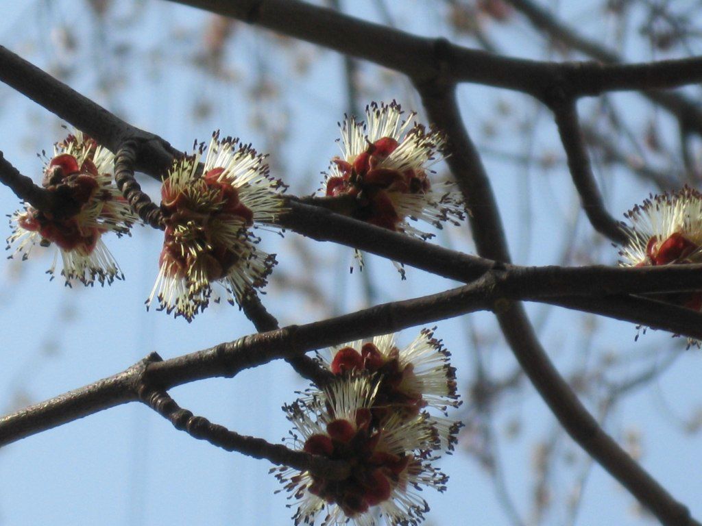 Ирина Таубе-Гаркунова | Ростов-на-Дону