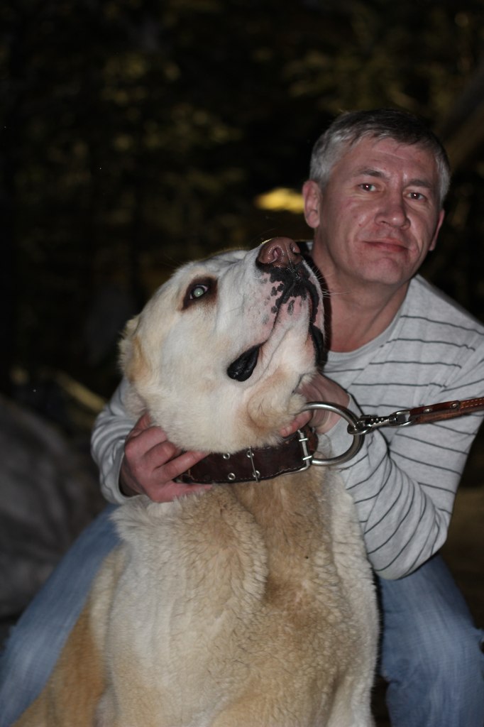 Сергей Красоткин | Сыктывкар