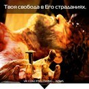 Константин Агошков | Кемерово