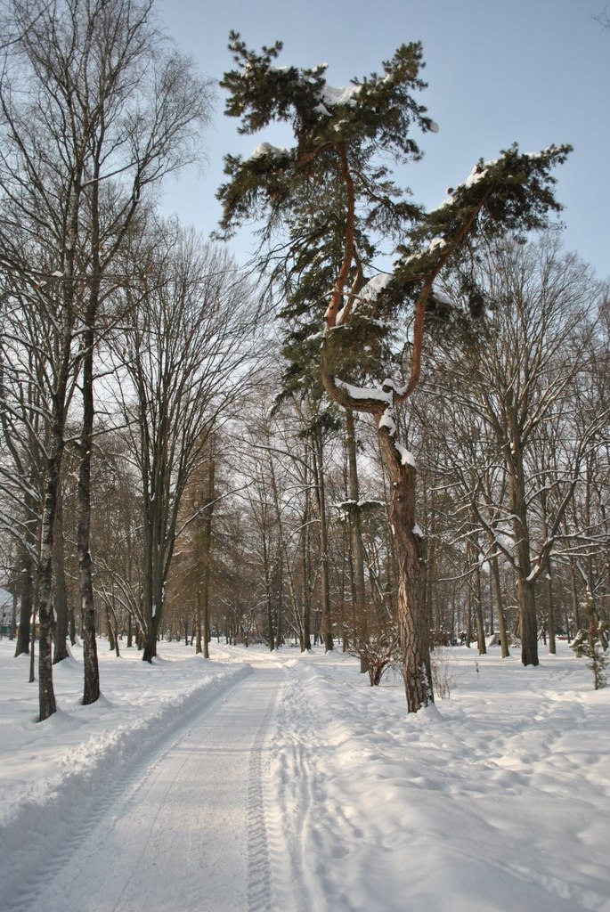 Андрій Мартинів | Долина