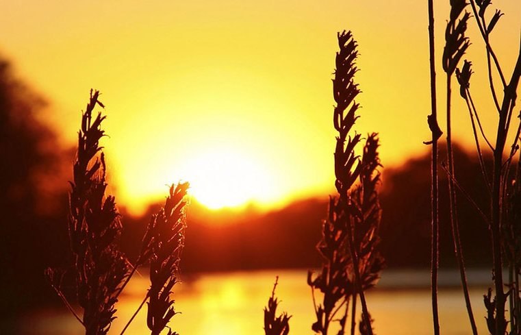 Ростислав Поляков | Днепр (Днепропетровск)