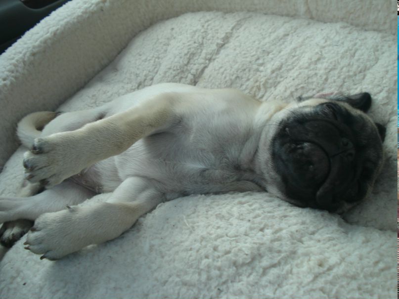 Егор Алимов | New York City