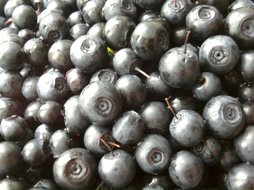 Наталья Киселёва | Томск