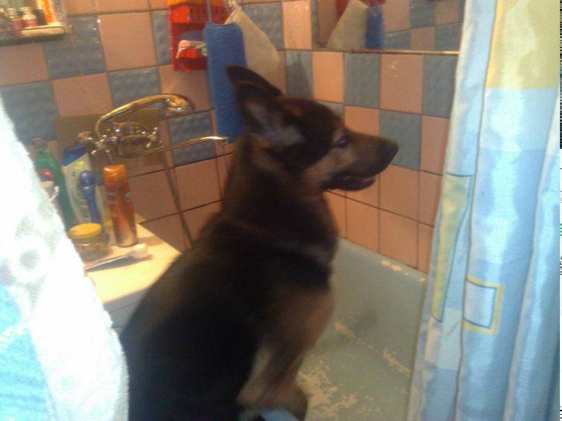 Александр Чечкенев | Санкт-Петербург