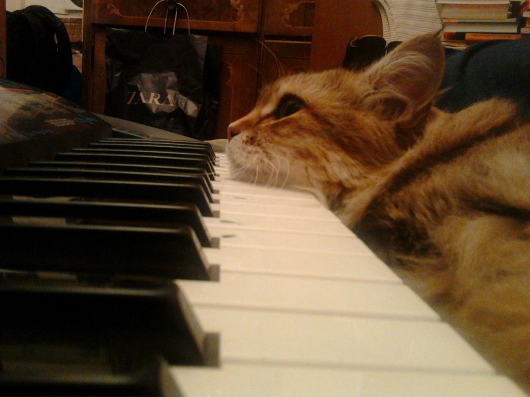 Семен Безъязычный | Москва