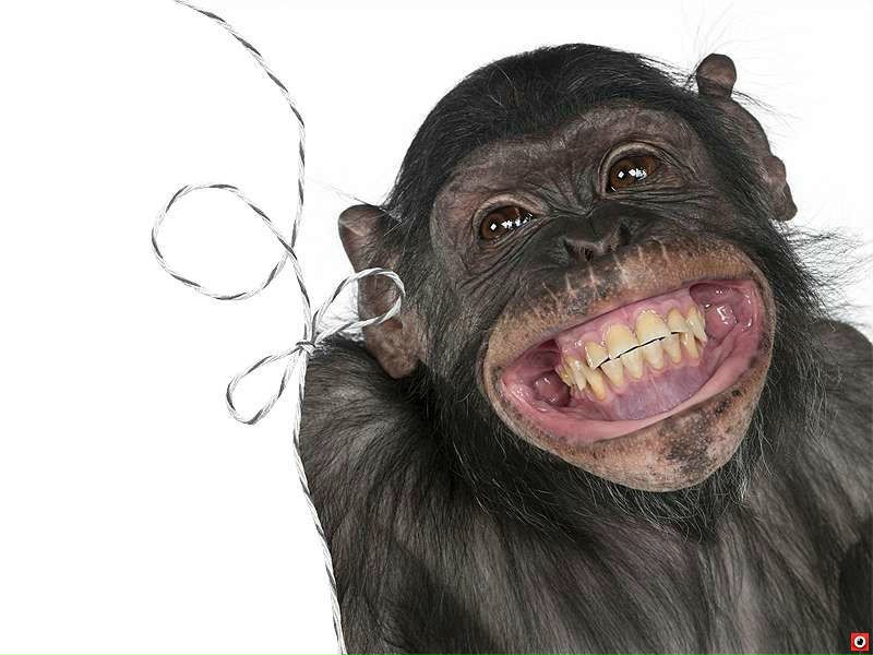 №3, Альберт Васильев №3, Альберт Васильев