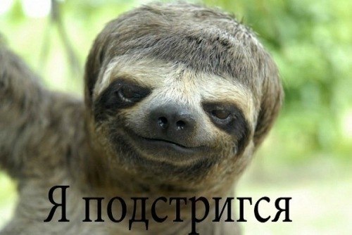 Махмуд Абзалов Punck no Dead! | Казань