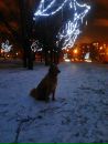 Фотография Анастасия Владимировна