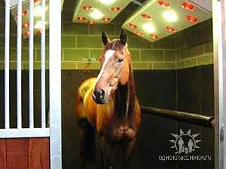 Valentyna Petrushko | Ровно