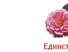 Елена Козлова | Сочи