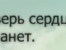 Максим Маркин | Черновцы