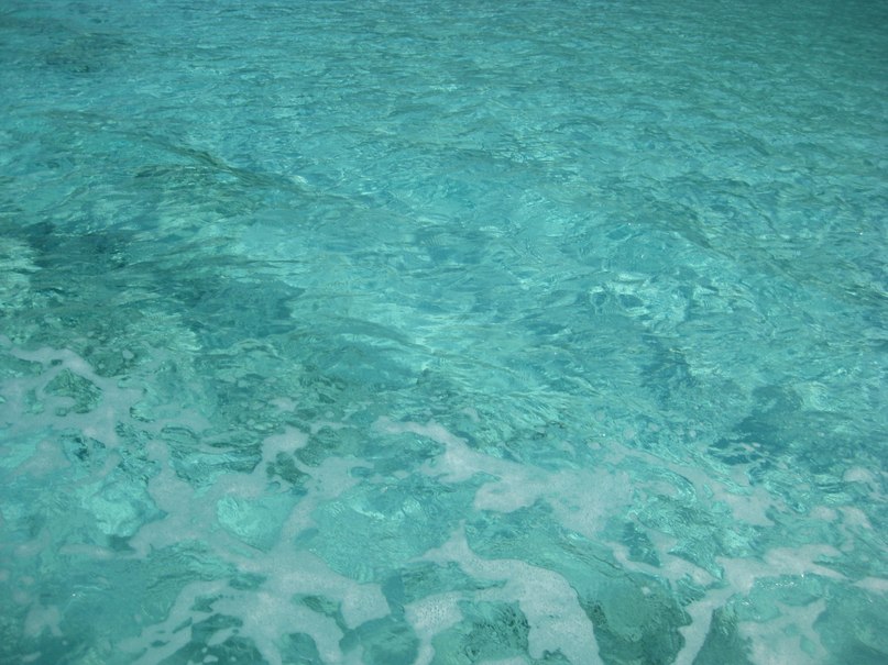 Наталья Минка(Пашевич) | Донецк