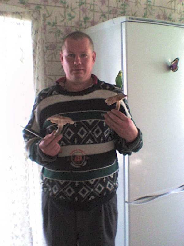 Николай Норицын | Алапаевск